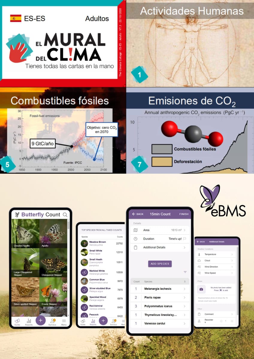 Cambio 2.1